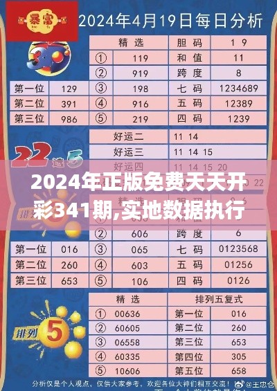 2024年正版免費(fèi)天天開(kāi)彩341期,實(shí)地?cái)?shù)據(jù)執(zhí)行分析_潮流版2.911