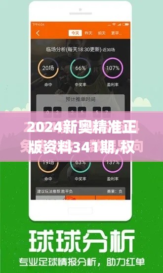 2024新奧精準(zhǔn)正版資料341期,權(quán)威推進(jìn)方法_SP10.590