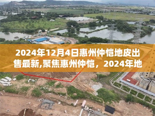 聚焦惠州仲愷，2024年地皮出售最新動(dòng)態(tài)