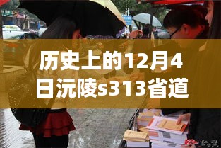 歷史上的12月4日，沅陵S313省道最新動態(tài)及其深度影響解讀