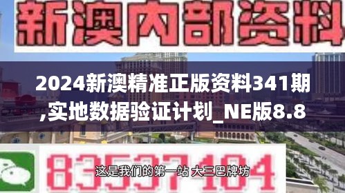 2024新澳精準(zhǔn)正版資料341期,實(shí)地?cái)?shù)據(jù)驗(yàn)證計(jì)劃_NE版8.815