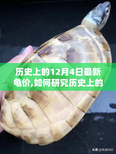 詳細(xì)步驟指南，研究歷史上的龜價(jià)動(dòng)態(tài)與最新龜價(jià)趨勢分析——以12月4日為例