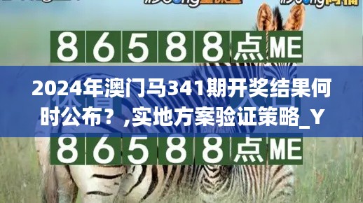 2024年澳門馬341期開獎結(jié)果何時公布？,實地方案驗證策略_YE版3.263
