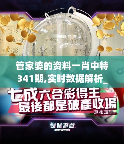 管家婆的資料一肖中特341期,實時數(shù)據(jù)解析_復(fù)古款4.582