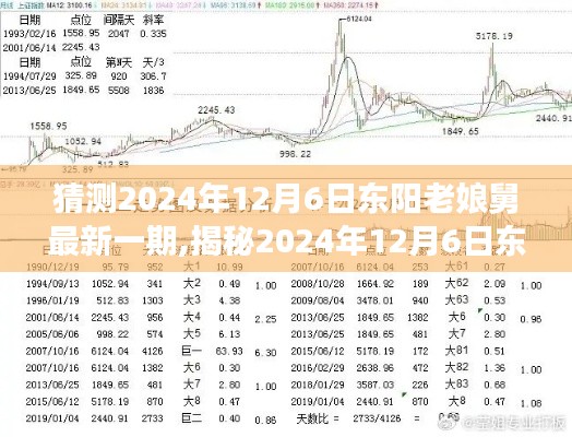 揭秘與預測，東陽老娘舅節(jié)目走向深度分析——最新一期展望與預測（2024年12月6日）