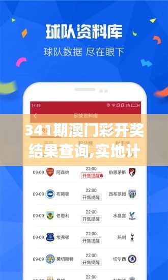 341期澳門彩開獎結果查詢,實地計劃驗證數(shù)據(jù)_iPhone3.765