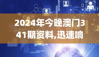 2024年今晚澳門341期資料,迅速響應(yīng)問題解決_Holo5.504