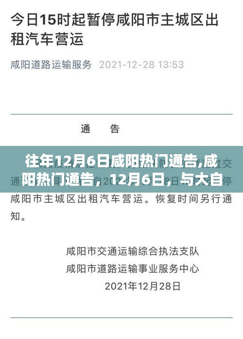 咸陽12月6日熱門通告，與自然共舞，探尋內(nèi)心寧靜之旅