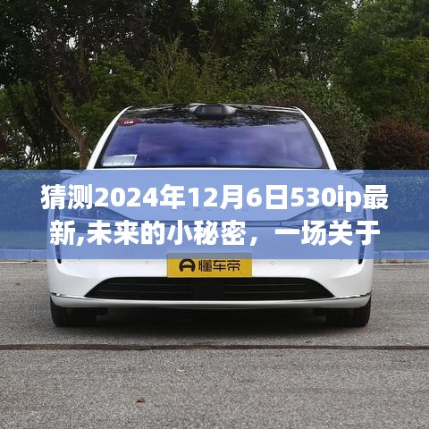 未來小秘密，2024年12月6日530ip最新，友情與愛的溫馨時光之旅