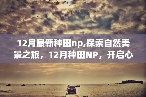 12月最新種田NP，自然美景之旅，開啟心靈探索之旅的鑰匙