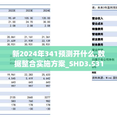 新2024年341預(yù)測(cè)開(kāi)什么,數(shù)據(jù)整合實(shí)施方案_SHD3.531