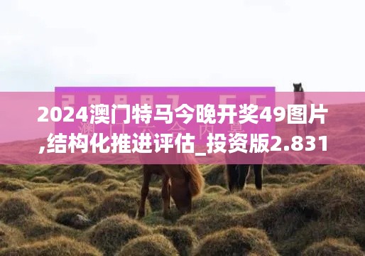 2024澳門特馬今晚開獎49圖片,結(jié)構化推進評估_投資版2.831