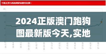 2024正版澳門跑狗圖最新版今天,實地應(yīng)用驗證數(shù)據(jù)_Chromebook4.340
