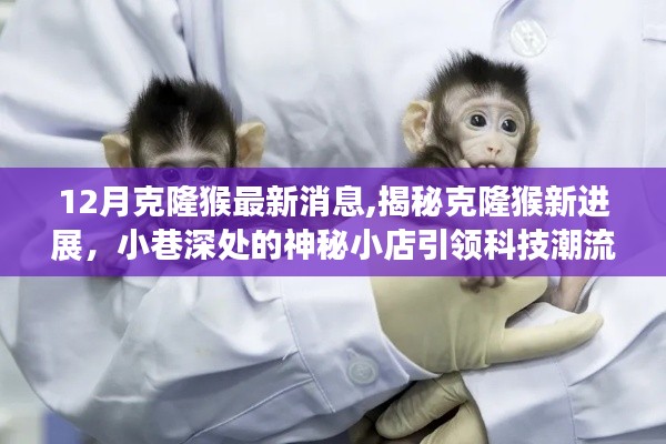 揭秘克隆猴最新進(jìn)展，神秘小店引領(lǐng)科技潮流新動(dòng)態(tài)