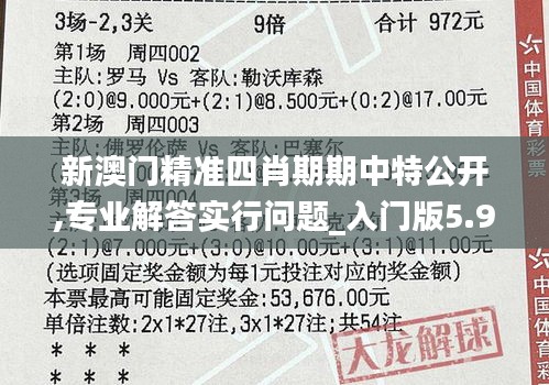 新澳門精準(zhǔn)四肖期期中特公開,專業(yè)解答實行問題_入門版5.970