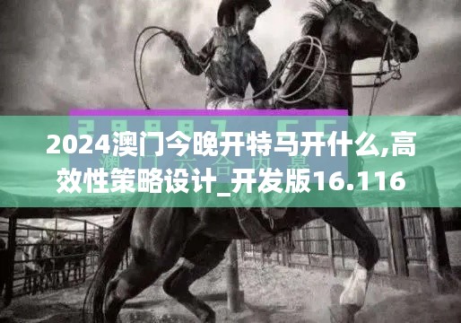 2024澳門今晚開(kāi)特馬開(kāi)什么,高效性策略設(shè)計(jì)_開(kāi)發(fā)版16.116