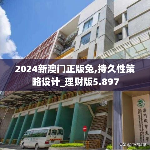 2024新澳門正版兔,持久性策略設(shè)計_理財版5.897