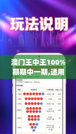 澳門王中王100%期期中一期,適用性策略設(shè)計_網(wǎng)頁版110.845