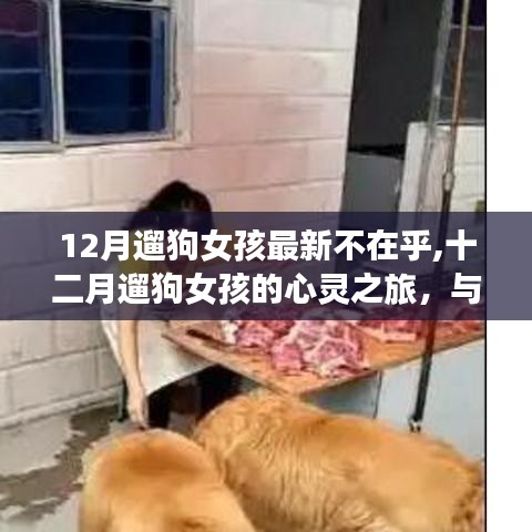 十二月遛狗女孩的心靈之旅，與自然美景的深情邂逅