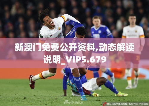 新澳門免費(fèi)公開資料,動(dòng)態(tài)解讀說(shuō)明_VIP5.679