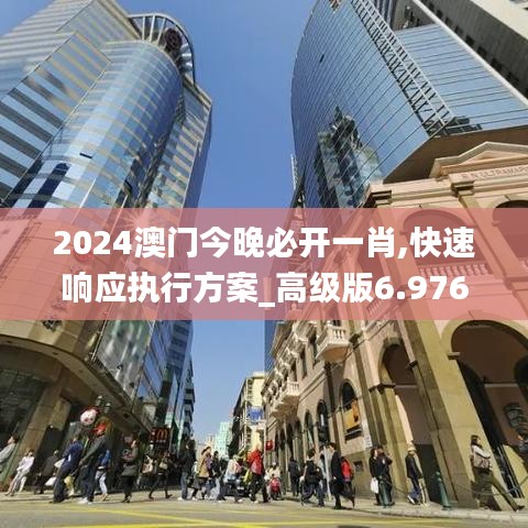 2024澳門今晚必開一肖,快速響應(yīng)執(zhí)行方案_高級版6.976
