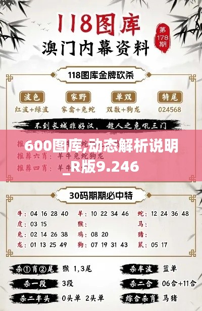 600圖庫,動態(tài)解析說明_R版9.246