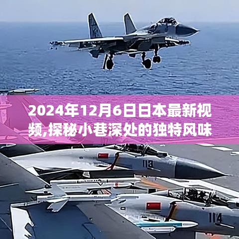 探秘日本小巷深處的獨特風(fēng)味，揭秘一家特色小店的隱藏故事視頻（2024年最新）