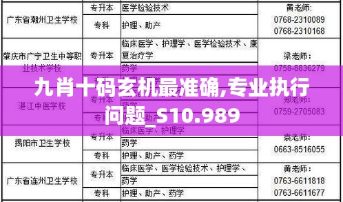 九肖十碼玄機最準確,專業(yè)執(zhí)行問題_S10.989
