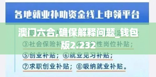 澳門六合,確保解釋問(wèn)題_錢包版2.232