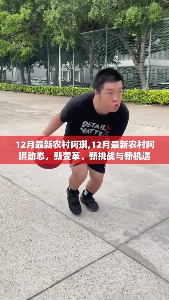 12月最新農(nóng)村阿琪，新變革、挑戰(zhàn)與機(jī)遇的交織