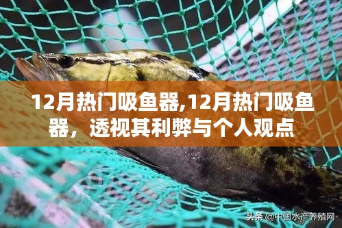 12月熱門吸魚器，利弊分析與個人觀點(diǎn)透視