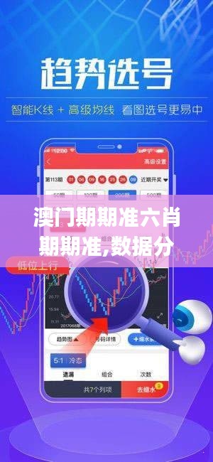 澳門期期準(zhǔn)六肖期期準(zhǔn),數(shù)據(jù)分析引導(dǎo)決策_(dá)AP19.945