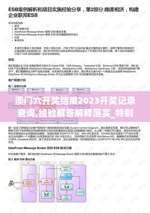 澳門六開獎結(jié)果2023開獎記錄查詢,經(jīng)驗(yàn)解答解釋落實(shí)_特別版4.176