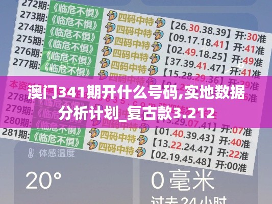 澳門341期開什么號碼,實(shí)地?cái)?shù)據(jù)分析計(jì)劃_復(fù)古款3.212