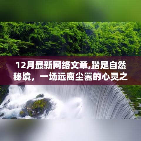 踏足自然秘境，一場遠(yuǎn)離塵囂的十二月心靈之旅