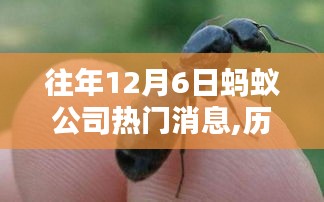 歷年12月6日科技巨浪掀起，螞蟻公司熱門(mén)消息大盤(pán)點(diǎn)