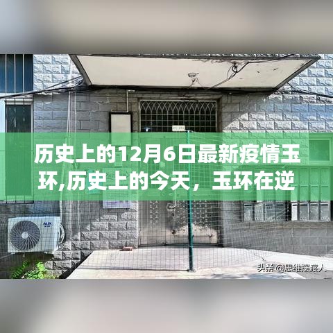 玉環(huán)逆境中的堅(jiān)韌與成長(zhǎng)，歷史視角下的疫情挑戰(zhàn)與未來(lái)展望