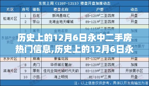 歷史上的12月6日永中二手房市場動(dòng)態(tài)，熱點(diǎn)信息與購房技能詳解