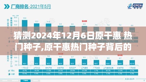 揭秘原干惠熱門種子背后的故事，回顧與預(yù)測至2024年12月6日的影響與展望