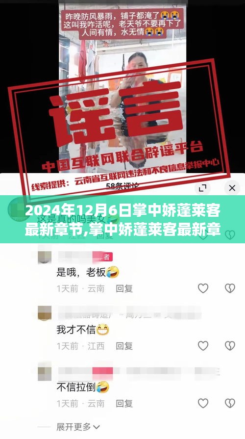 掌中嬌蓬萊客最新章節(jié)深度解析，背景、事件與影響，2024年12月6日獨(dú)家揭秘