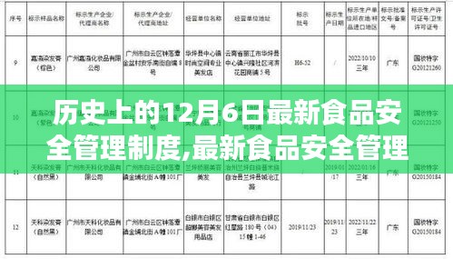 最新食品安全管理制度深度解析，歷史沿革、用戶體驗(yàn)與競(jìng)品對(duì)比測(cè)評(píng)報(bào)告