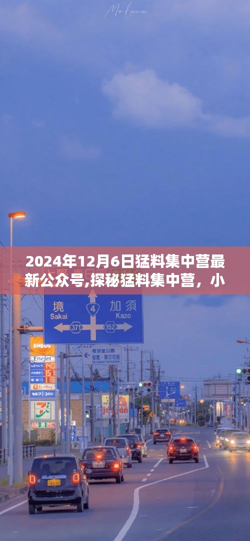探秘猛料集中營(yíng)，小巷深處的獨(dú)特風(fēng)味集結(jié)號(hào)（公眾號(hào)最新資訊）