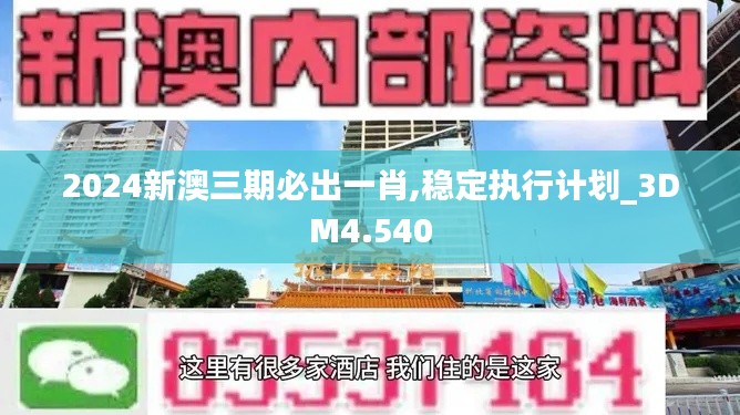 2024新澳三期必出一肖,穩(wěn)定執(zhí)行計劃_3DM4.540