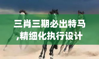 三肖三期必出特馬,精細(xì)化執(zhí)行設(shè)計(jì)_4DM4.305