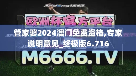 管家婆2024澳門免費(fèi)資格,專家說明意見_終極版6.716