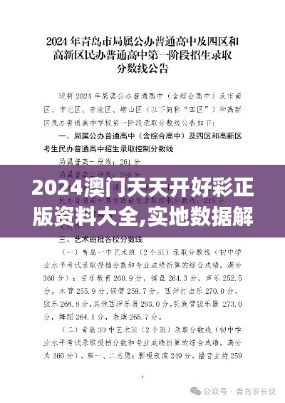 2024澳門天天開好彩正版資料大全,實(shí)地?cái)?shù)據(jù)解釋定義_T7.326