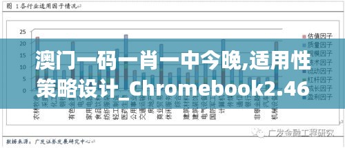 澳門(mén)一碼一肖一中今晚,適用性策略設(shè)計(jì)_Chromebook2.468