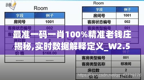 最準(zhǔn)一碼一肖100%精準(zhǔn)老錢(qián)莊揭秘,實(shí)時(shí)數(shù)據(jù)解釋定義_W2.500