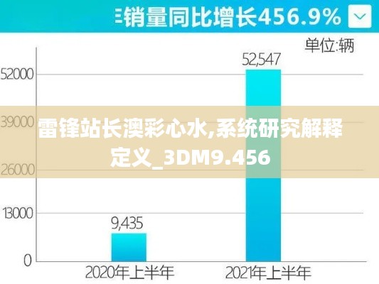 雷鋒站長澳彩心水,系統(tǒng)研究解釋定義_3DM9.456