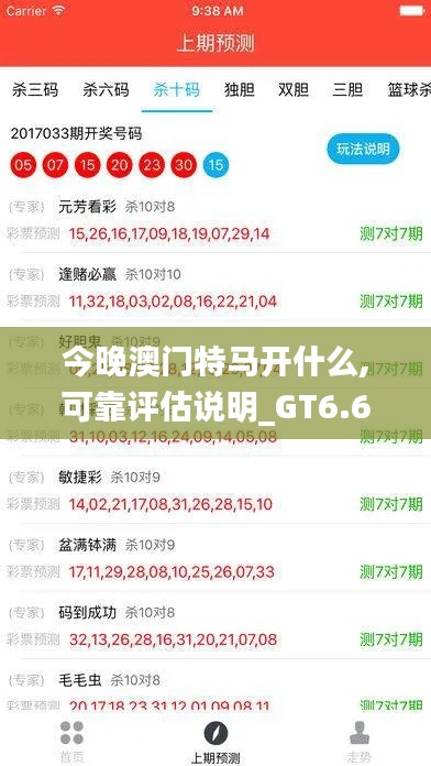 今晚澳門特馬開什么,可靠評(píng)估說明_GT6.635
